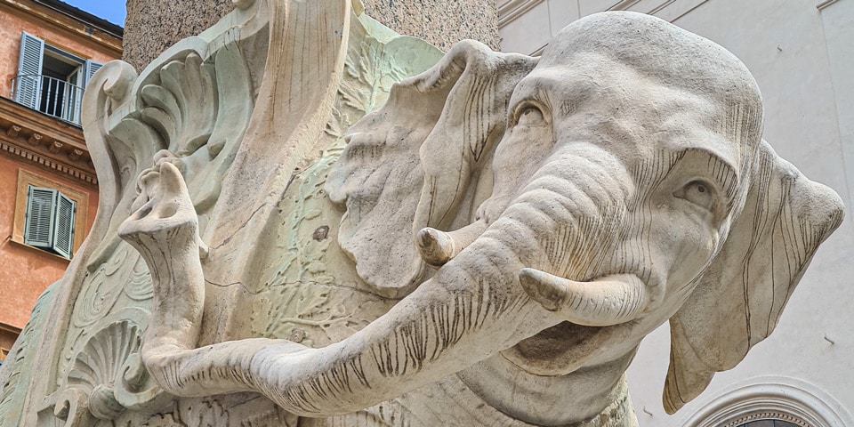 Close up of elephant tusks and head sculpture by Bernini Close up of elephant tusks and head sculpture by Bernini