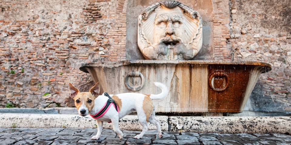 Fontana del Mascherone di Santa Sabina