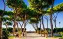 Oragne Garden in Rome