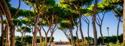 Oragne Garden in Rome