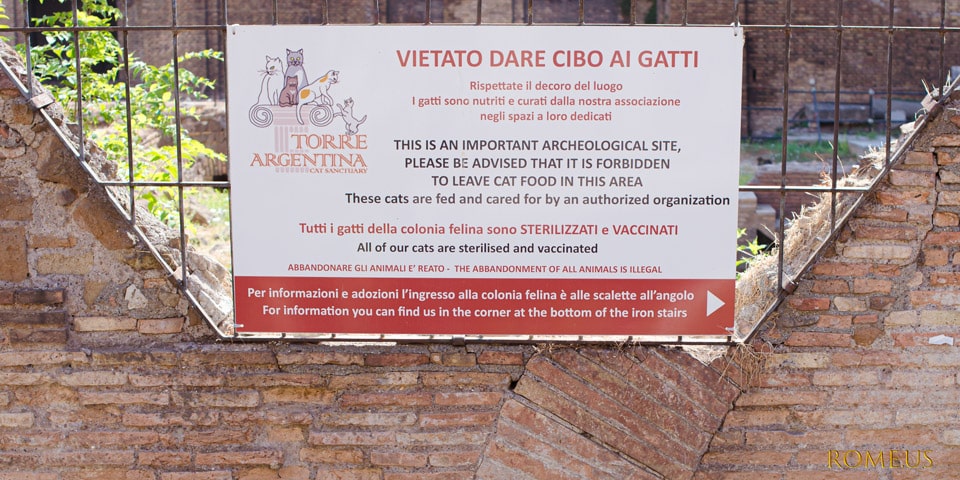 Information for visitors to the cat shelter in Rome
