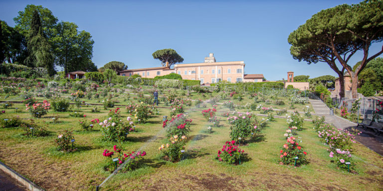 Rose Garden in Rome: Where to See 1100 Varieties in Bloom