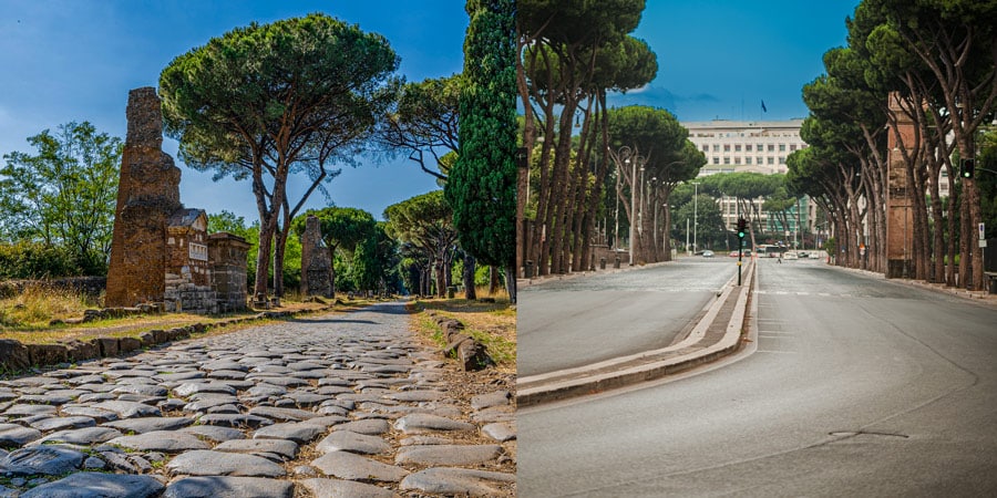 Pinos Paraguas a lo largo de las carreteras de Roma