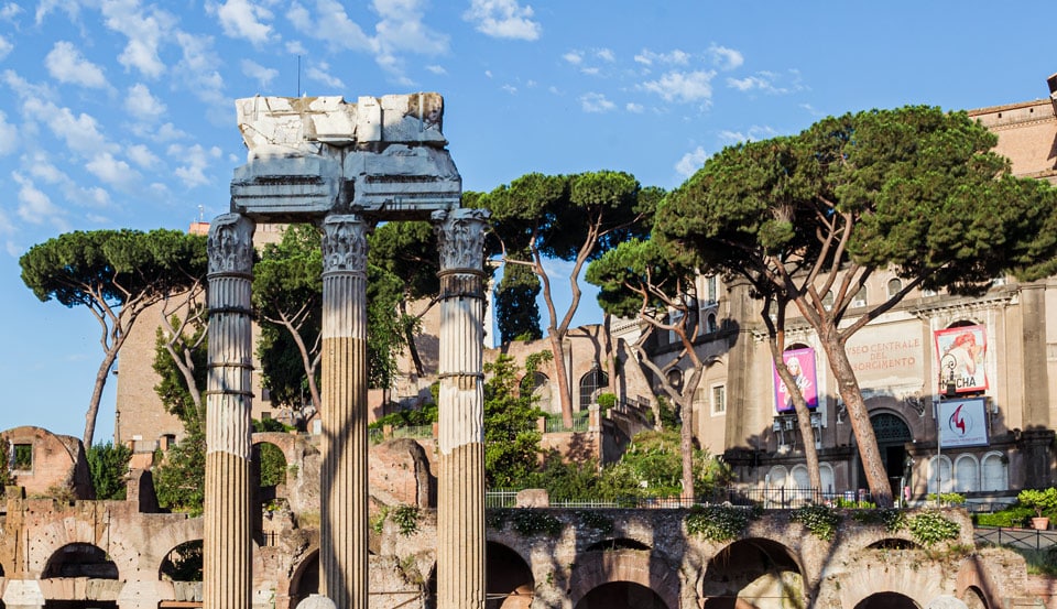 Pinos Paraguas en el Foro de César en Roma