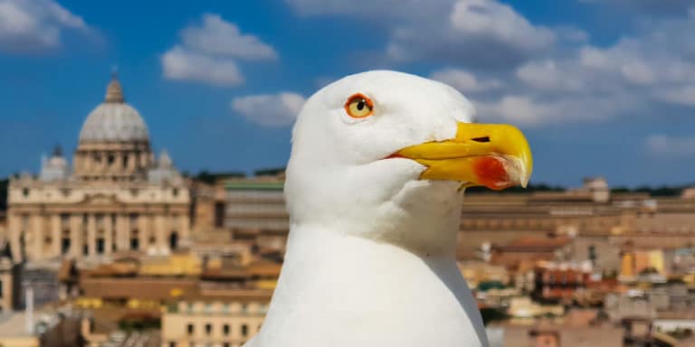 What to See in Rome: A Walking Route Through 30 Top Attractions