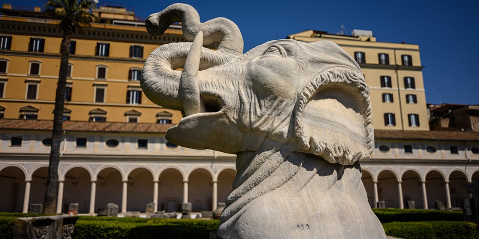 Colossal Renaissance marble elephant head with a serpent, in the Great Cloister of the Baths of Diocletian, Rome