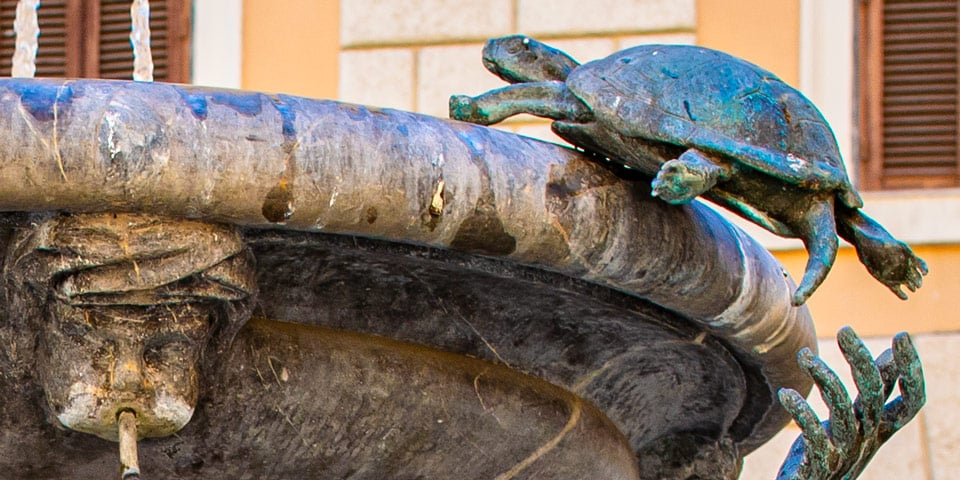 details of the turtle fountain in Rome