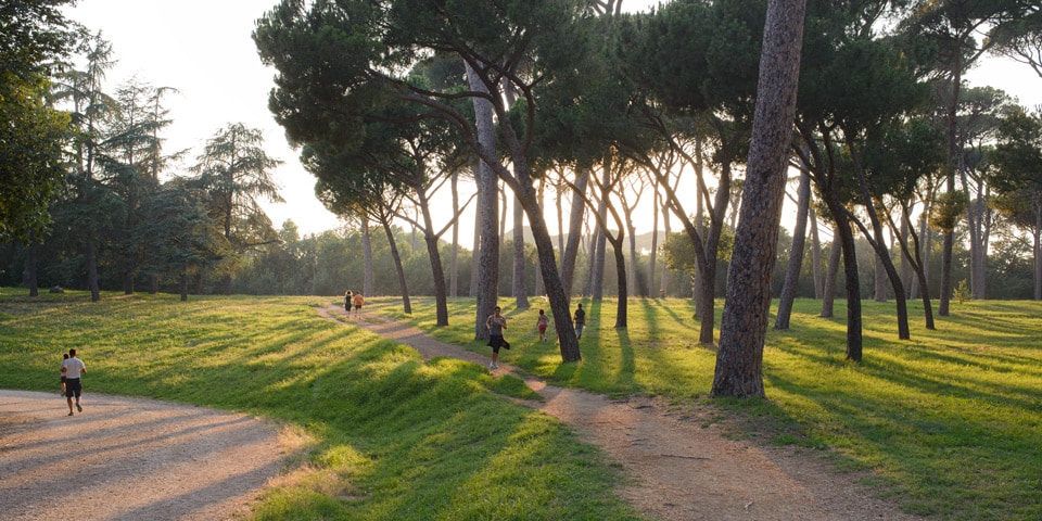 Runners crossing a meadow beneath umbrella pines at sunset in Villa Doria Pamphilj in July