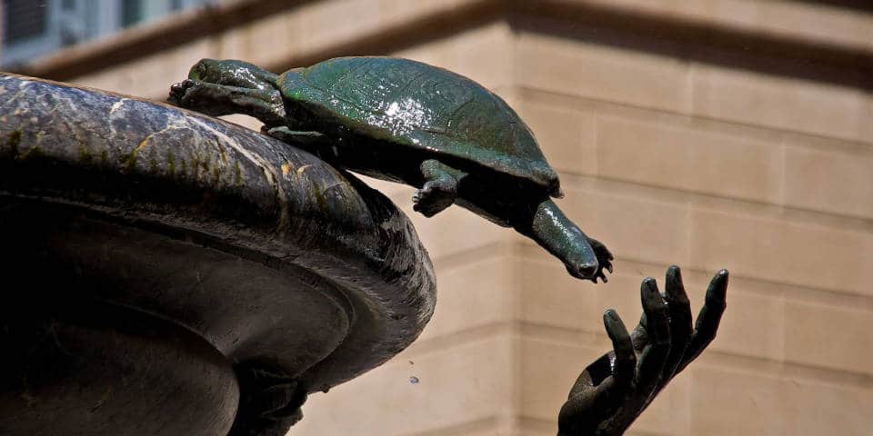 details of the turtle fountain in Rome