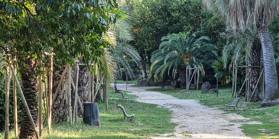 Quiet palm-lined path with benches inside Villa Sciarra on the slopes of Janiculum Hill